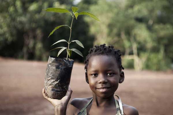 AMRF-Africa Foundation | Environmental Awareness Project Image